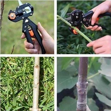 Ciseaux de Greffage Professionnels