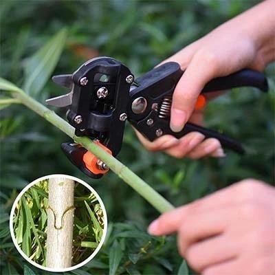Ciseaux de Greffage Professionnels