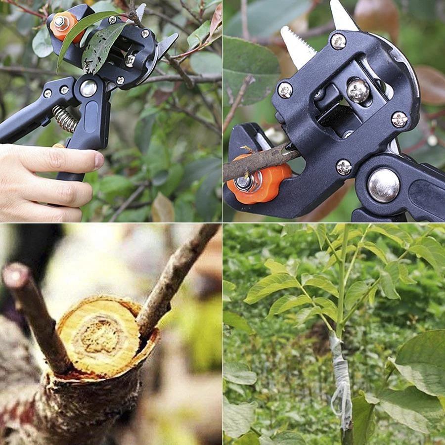 Ciseaux de Greffage Professionnels