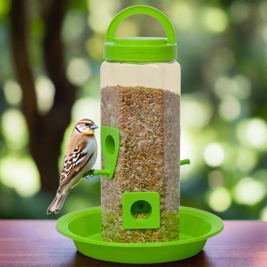 Mangeoire à oiseaux