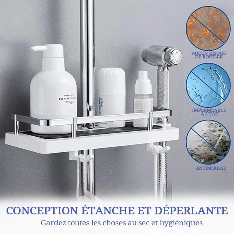 Revolutionary shower shelf