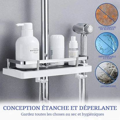Revolutionary shower shelf
