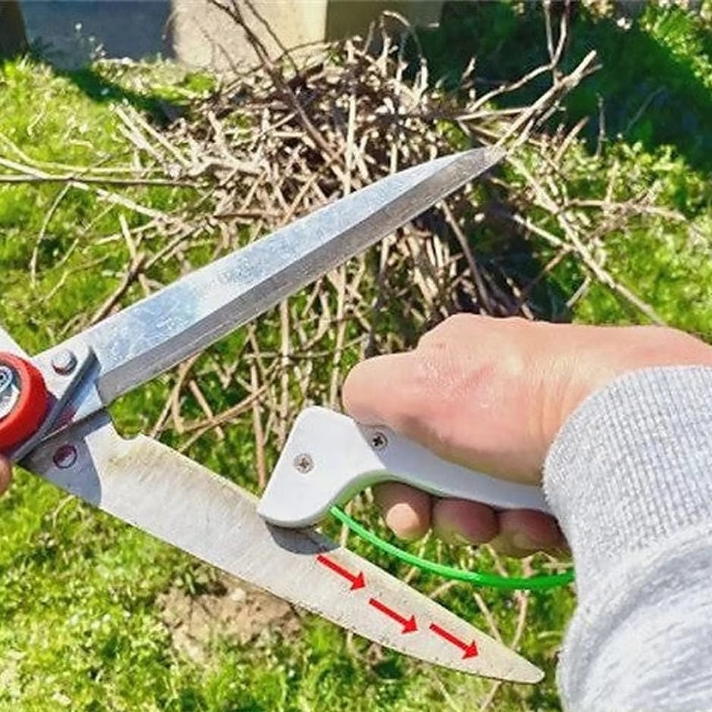 Affûteur pour Outils de Jardin