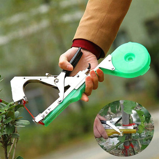 Attache branche Révolutionnaire